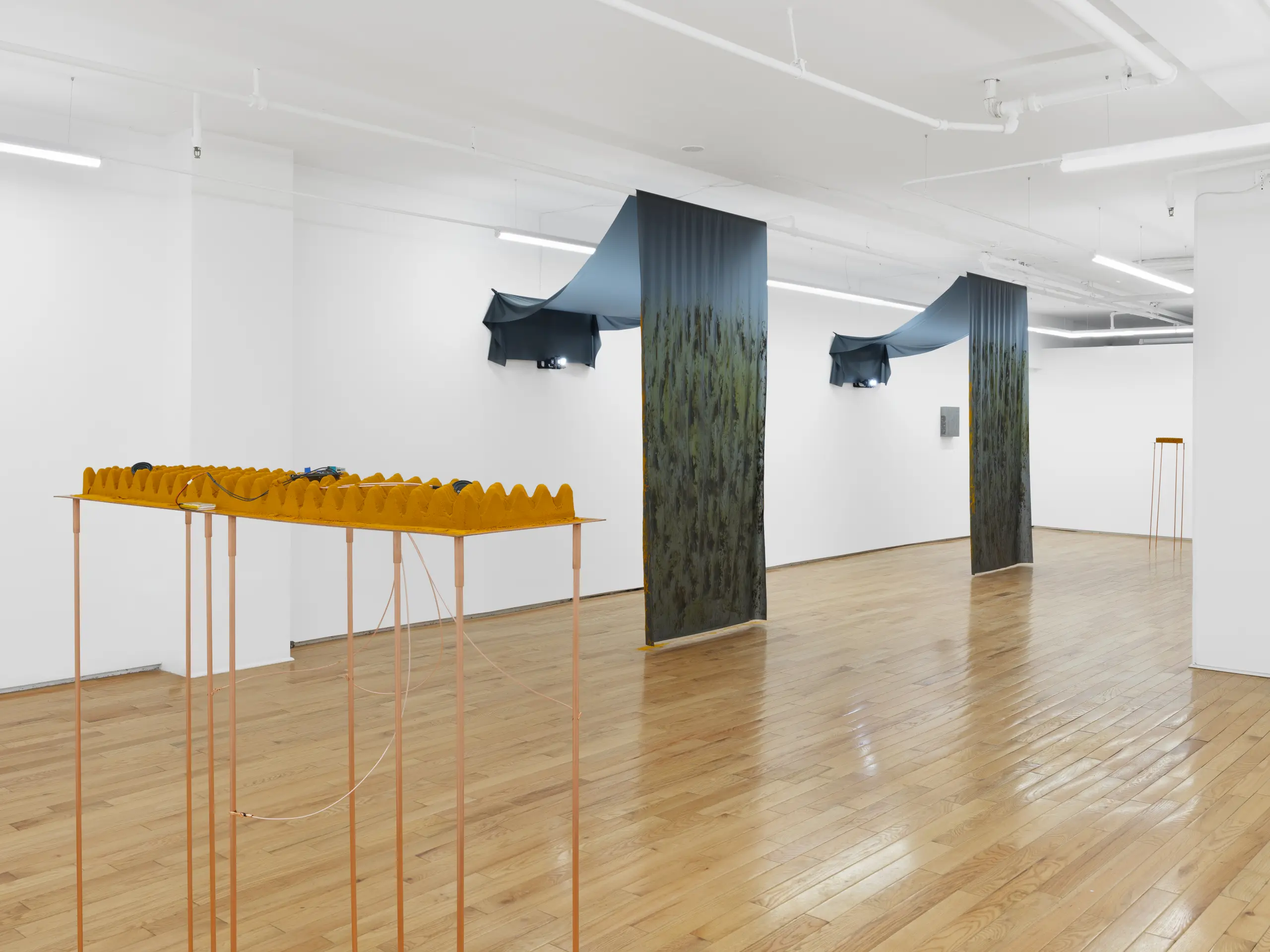 Installed view showing the relationship between works